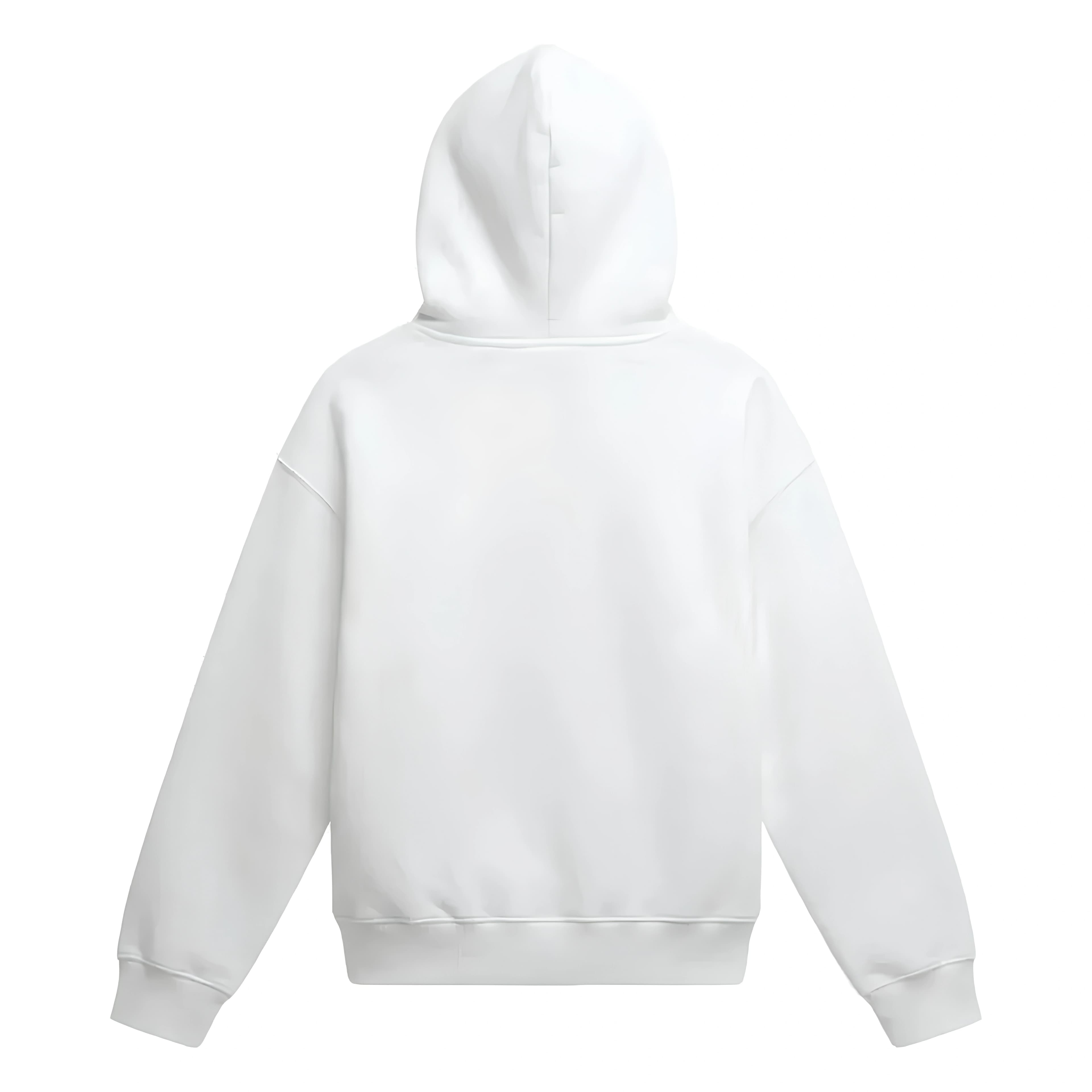 Cartunes Basics Alpine White Hoodie 2