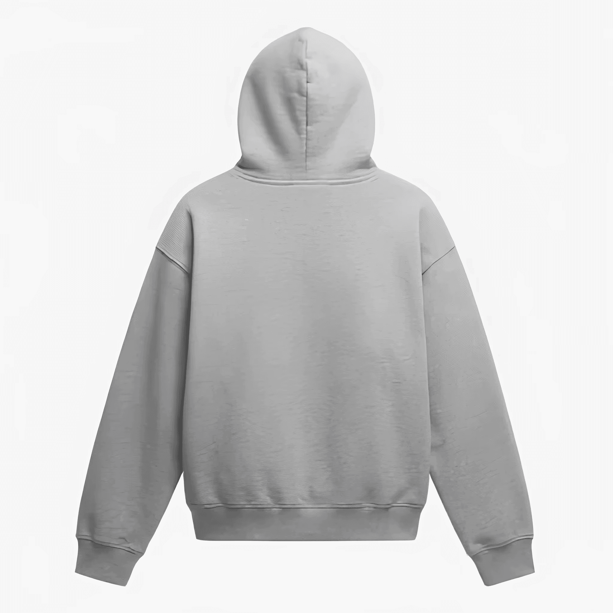 Cartunes Basics Frozen Brooklyn Gray Hoodie 2