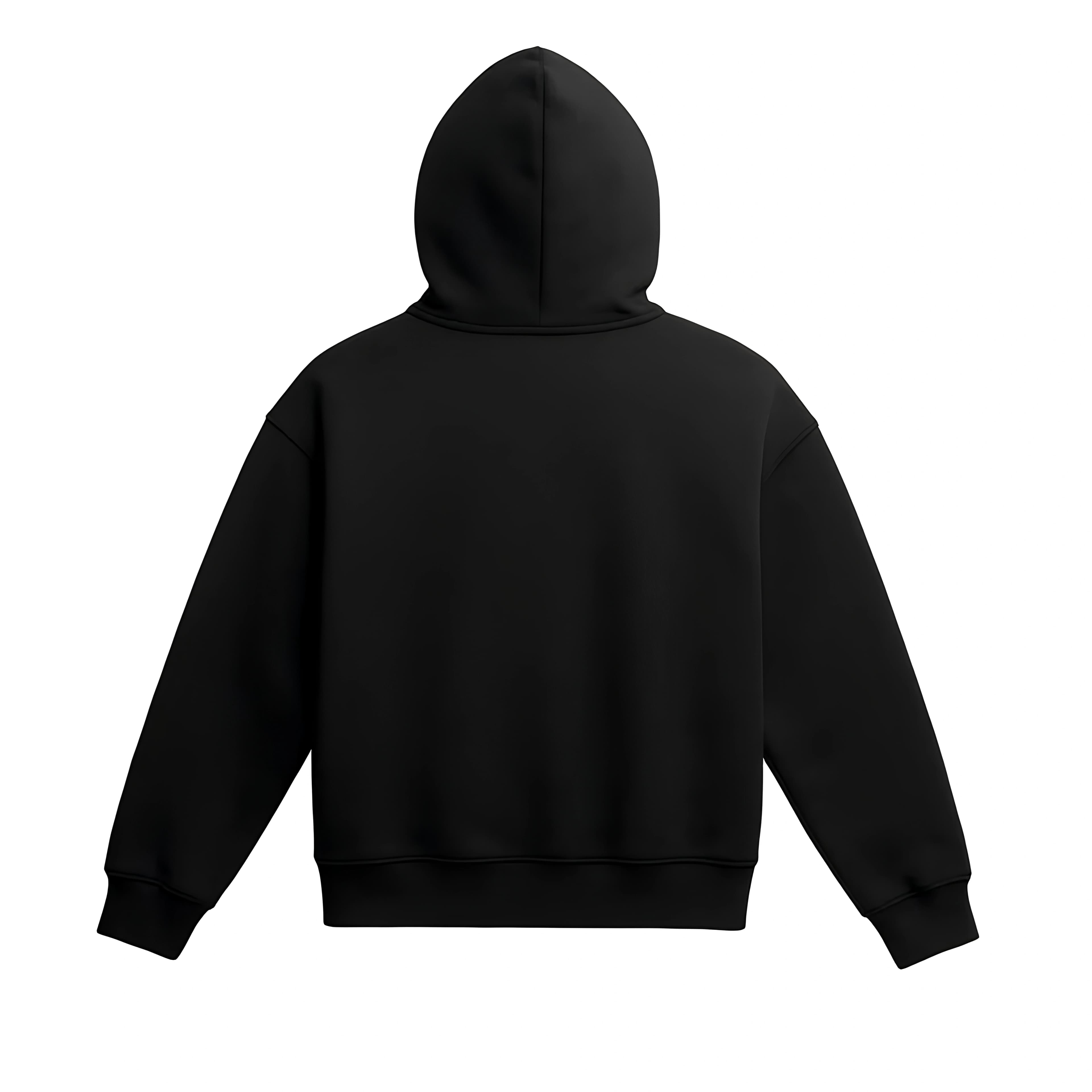 Cartunes Basics Vulcano Black Hoodie 2